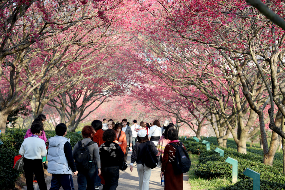 173992546894642654.png 图片1_副本.png