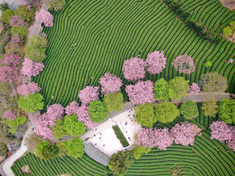 174177102253690725.png 图片1_副本.png