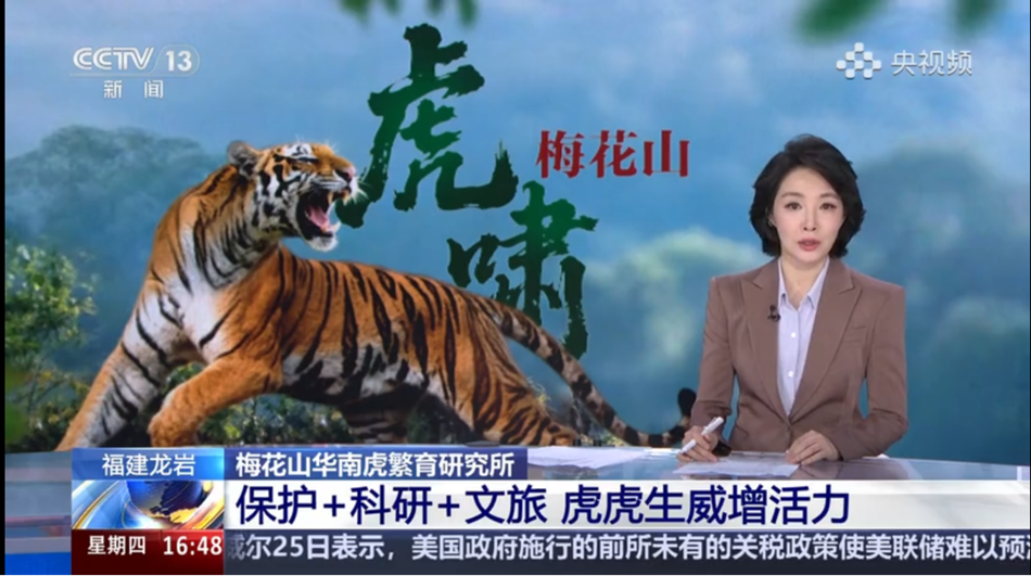 175133662775904061.png 图片1_副本.png