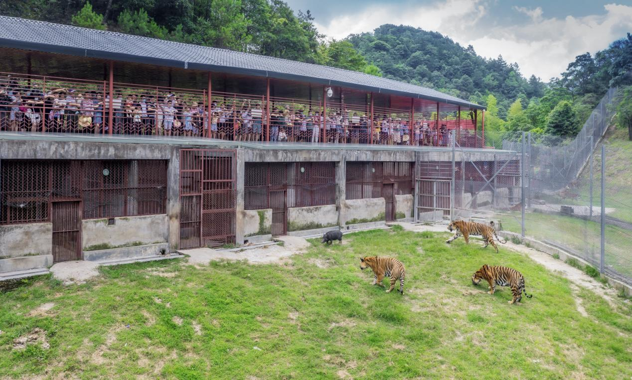 175427293838459143.png 图片1.png